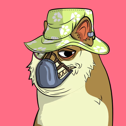 The Doge Pound