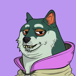 DOGGY #4658