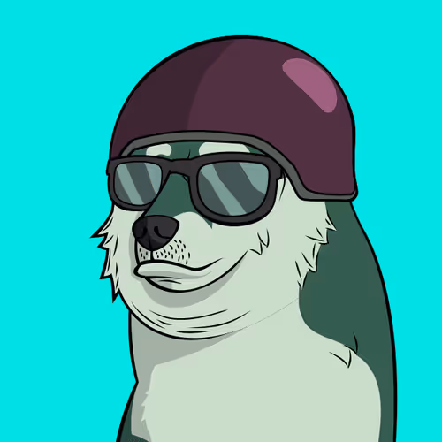 The Doge Pound