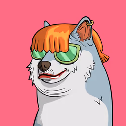 DOGGY #8295