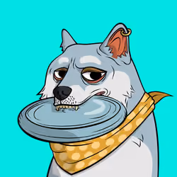 DOGGY #710