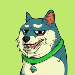 DOGGY #444