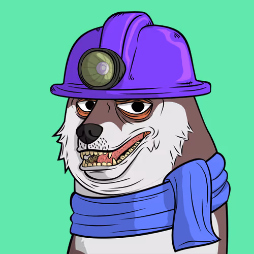 The Doge Pound