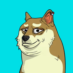 DOGGY #164