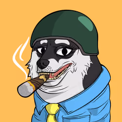 DOGGY #1697