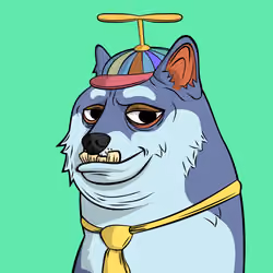 DOGGY #2827