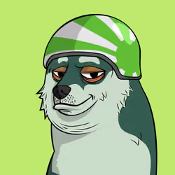DOGGY #6426