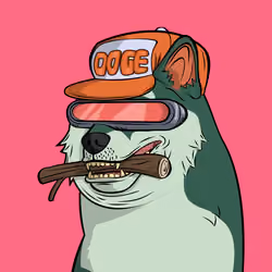 DOGGY #605