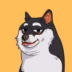 DOGGY #3444