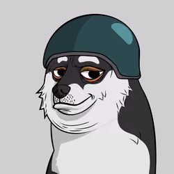 DOGGY #6298