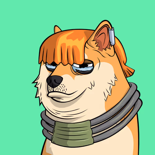 The Doge Pound