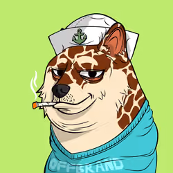 DOGGY #2270