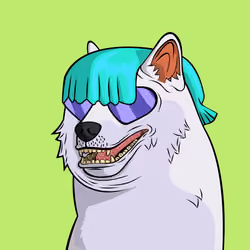 DOGGY #6982