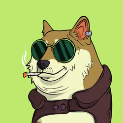 DOGGY #2362