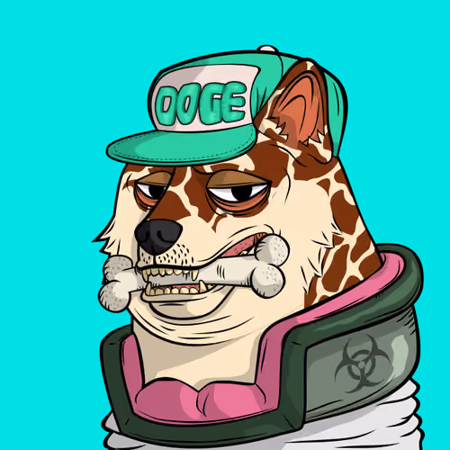 DOGGY #4291