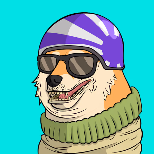 DOGGY #2784