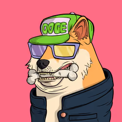 DOGGY #652