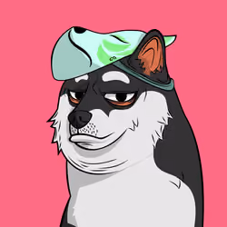 DOGGY #6497