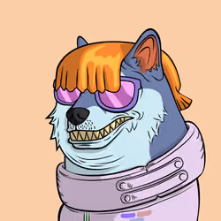 DOGGY #4888