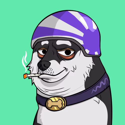 DOGGY #4775