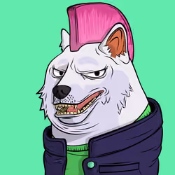 DOGGY #1577