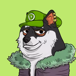 DOGGY #5992
