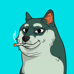 DOGGY #5327