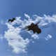 Bones In The Sky Marfa No. 104