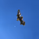 Bones In The Sky Marfa No. 80