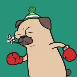 IVY DOG #477