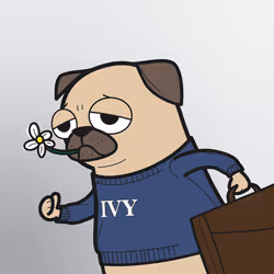 IVY DOG #765