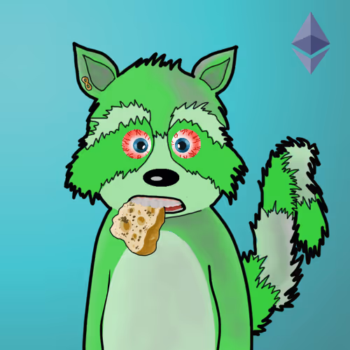 Rekt Racoons