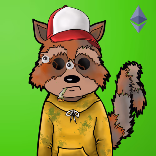 Rekt Racoons