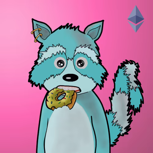 Rekt Racoons