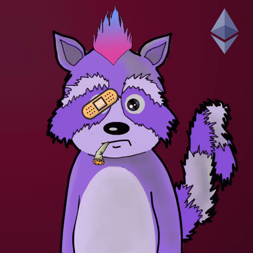 Rekt Racoons