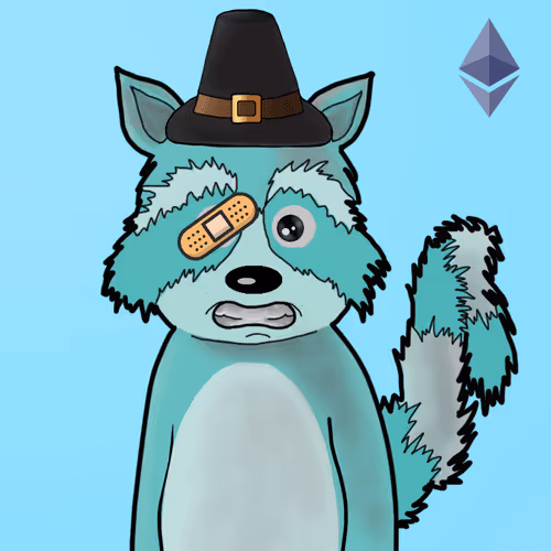 Rekt Racoons