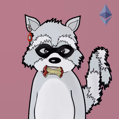 Rekt Racoons