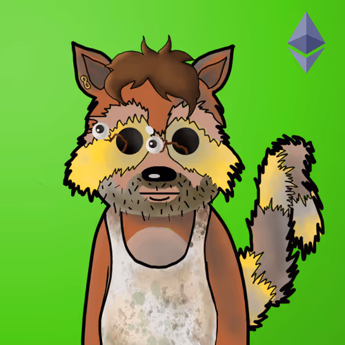 Rekt Racoons