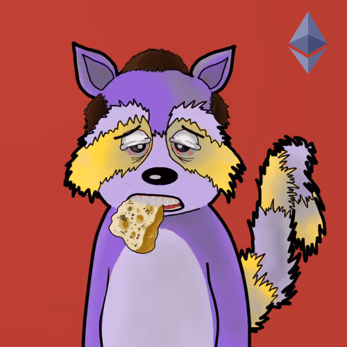Rekt Racoons