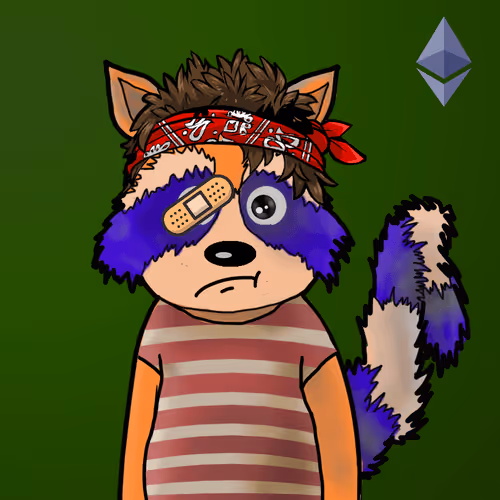 Rekt Racoons