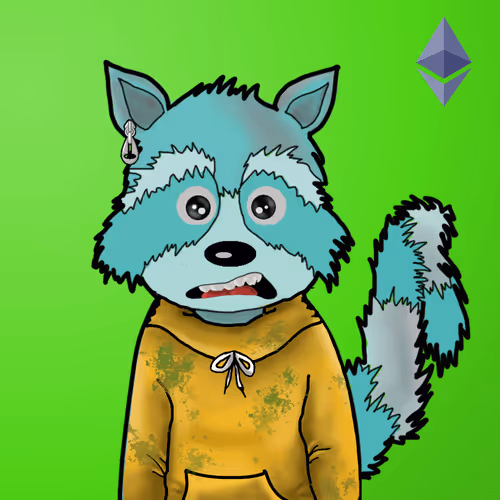 Rekt Racoons