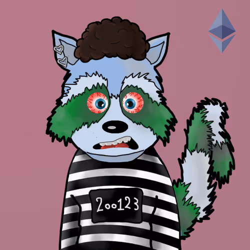 Rekt Racoons