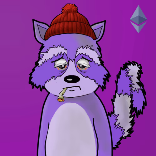Rekt Racoons