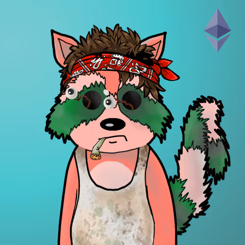 Rekt Racoons