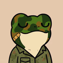 Turbo Toad #510