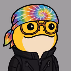 Turbo Toad #2241