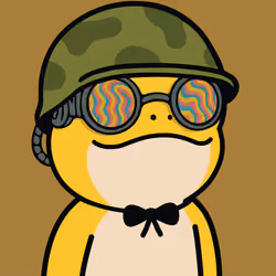 Turbo Toad #8966