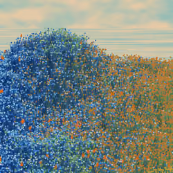Superbloom #6