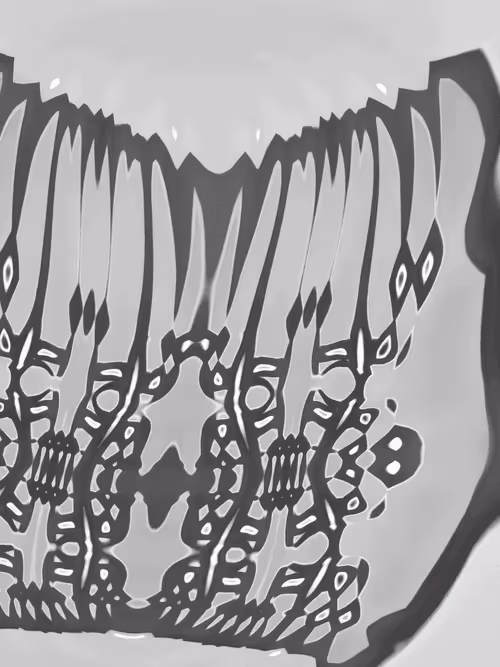 Item #4045563695846915711900312409516322895112670623 Media