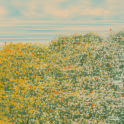 252847730990432231993769525594770180945167036